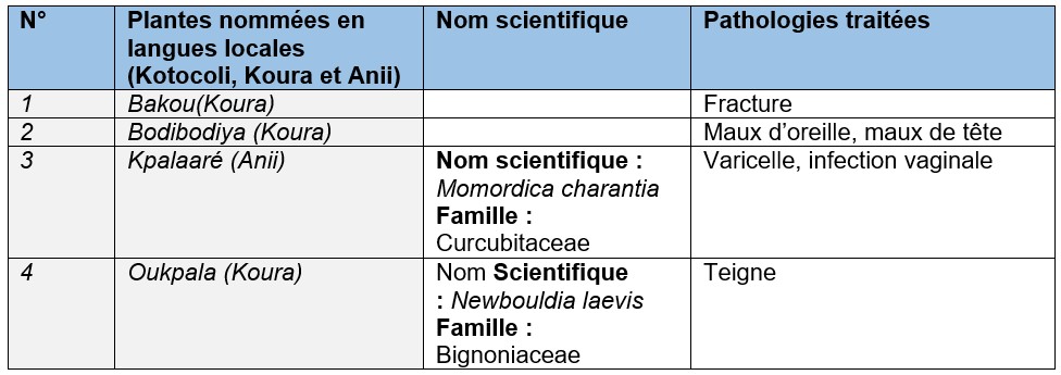 Plantes médicinales et maladies de manifestations externes traitées
