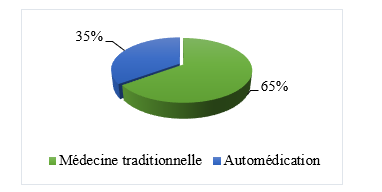 Modes alternatifs de soins adoptés par les populations de la commune d’Avrankou en cas de maladie